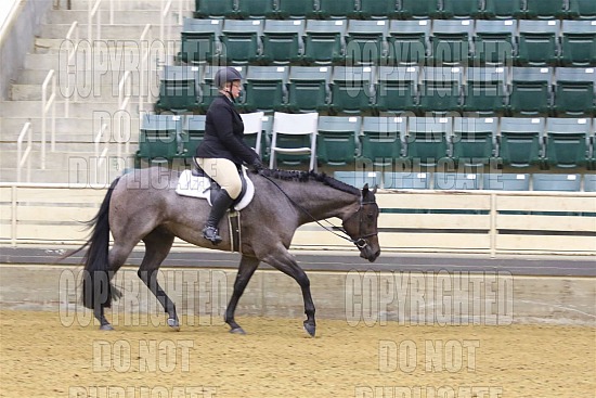 Just Horsin Round August 2025